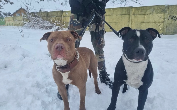 Zbiórka Best i raptor - zdjęcie główne