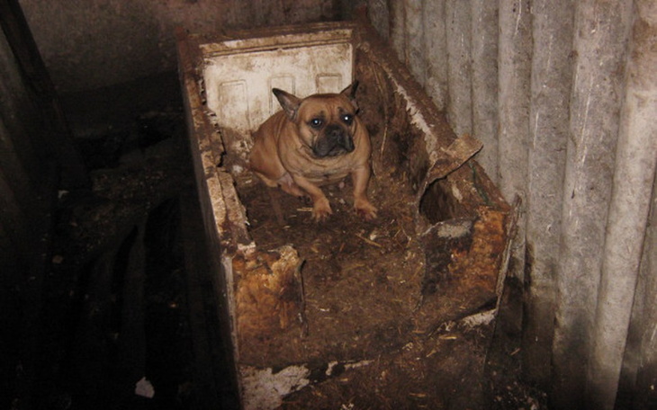 Zbiórka PSEUDO - Radom! - zdjęcie główne