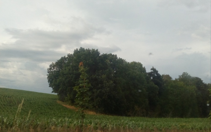 Zbiórka Proszę dobre serca o pomoc - zdjęcie główne