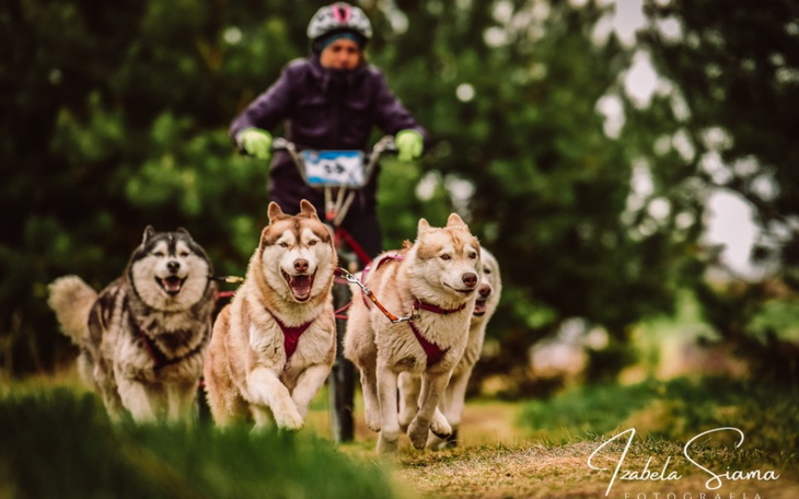 Zbiórka Zerwane więzadło krzyżowe Bajki - zdjęcie główne