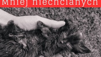 Zbiórka Mniej niechcianych - miniaturka zdjęcia