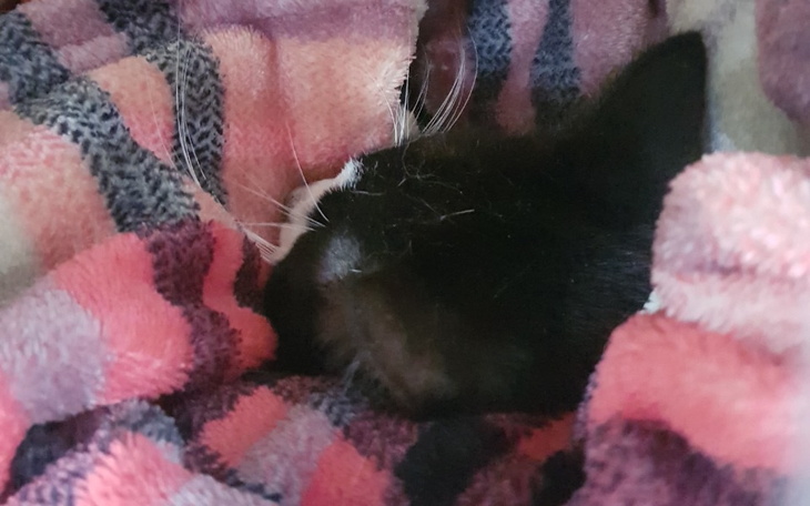 Zbiórka Zapobiegajmy bezdomności - zdjęcie główne