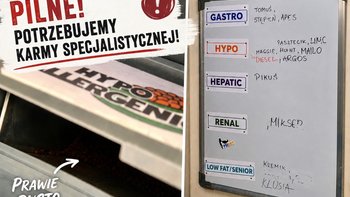 Zbiórka 🥣 Napełnij miskę pacjenta PsiKota - miniaturka zdjęcia