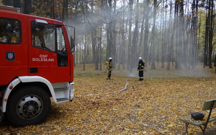 Zbiórka Sprzęt rat. dla OSP Bolesław - zdjęcie główne