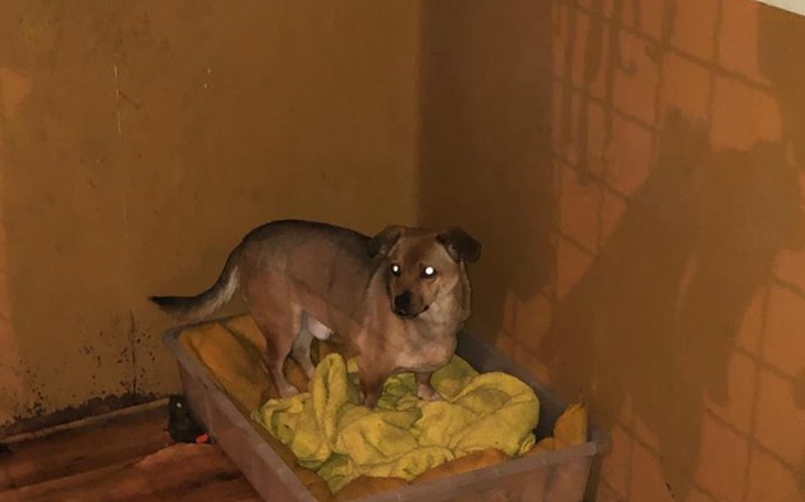 Zbiórka Urodziny982922 - zdjęcie główne