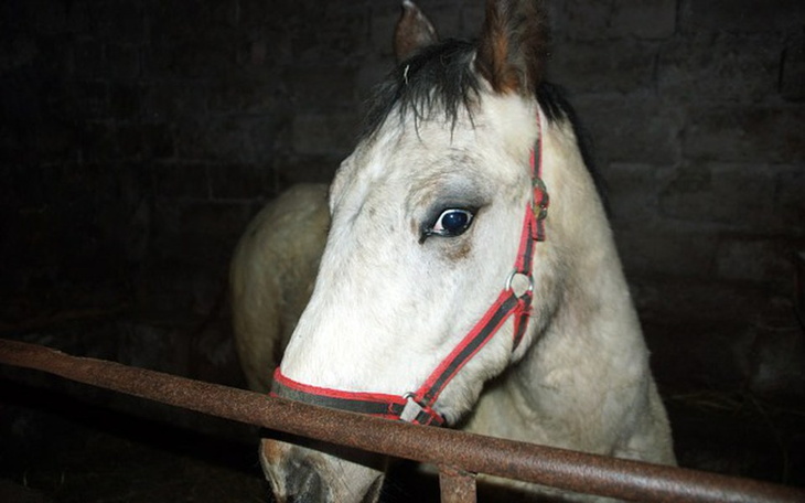 Zbiórka Wykupić Duszka! - zdjęcie główne