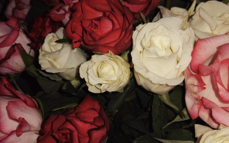 Zbiórka Mamo zostań - zdjęcie główne