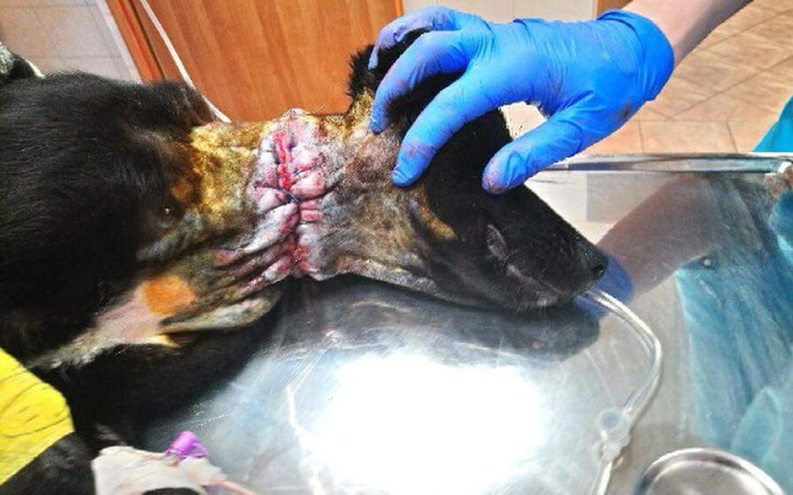 Zbiórka skazana na śmierć - zdjęcie główne