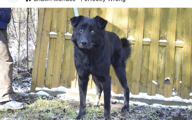 Zbiórka HOTELIK niewidomego Mika - zdjęcie główne