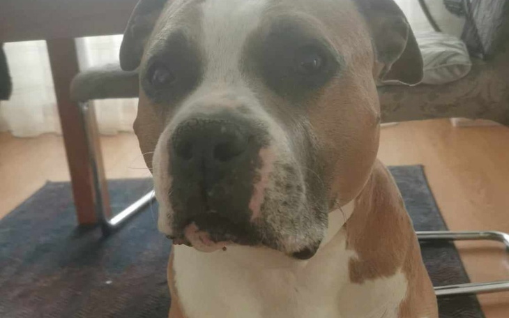 Zbiórka Rekonstrukcja moczowodu - zdjęcie główne