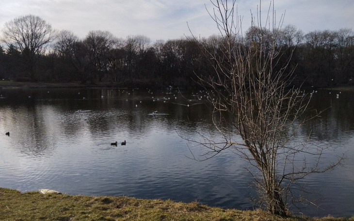 Zbiórka Studia - ostatnia prosta - zdjęcie główne