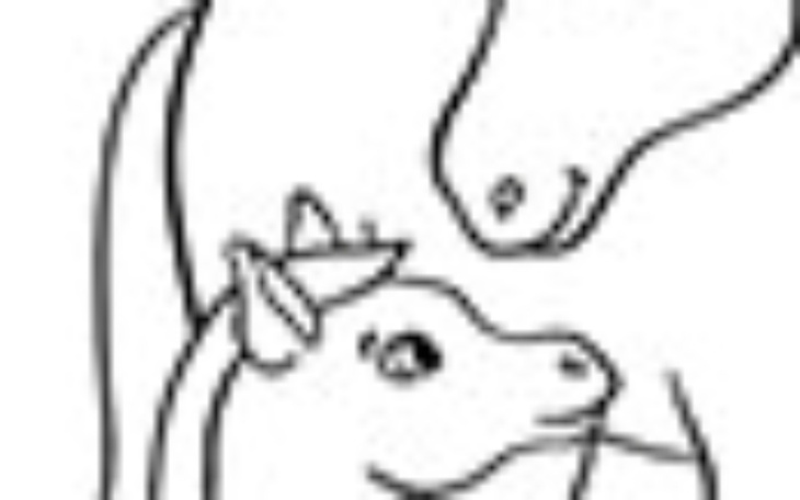 Zbiórka Pragnę zostać kierowcą taksówki - zdjęcie główne