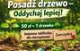 Zbiórka Posadź Drzewo Oddychaj Lepiej - miniaturka zdjęcia