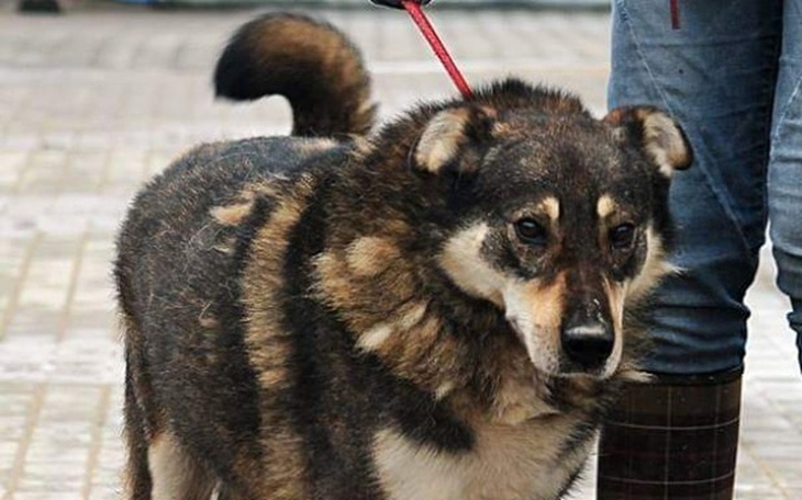 Zbiórka Akord z Radys prosi o wsparcie - zdjęcie główne