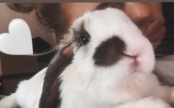 Zbiórka Mieszkanie i dalsze kształcenie - zdjęcie główne