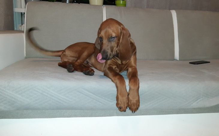 Zbiórka Operacja 4msc HUNTERA - zdjęcie główne