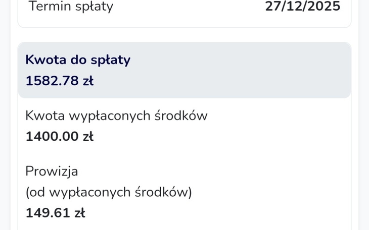 Zrzut ekranu z informacjami o płatności i kwotach.