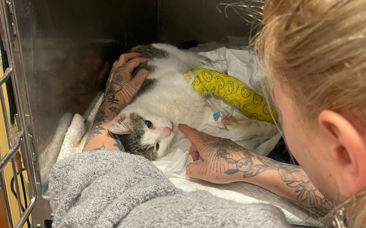 Zbiórka Uratujmy Tokio - zdjęcie główne