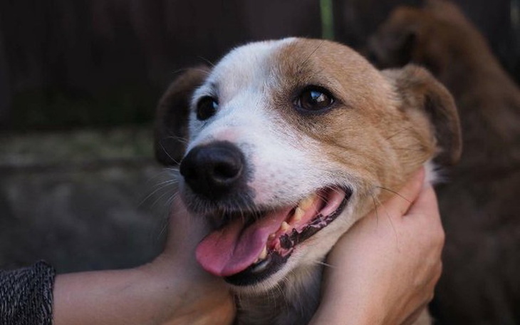 Zbiórka Na ratunek Pawełkowi - zdjęcie główne