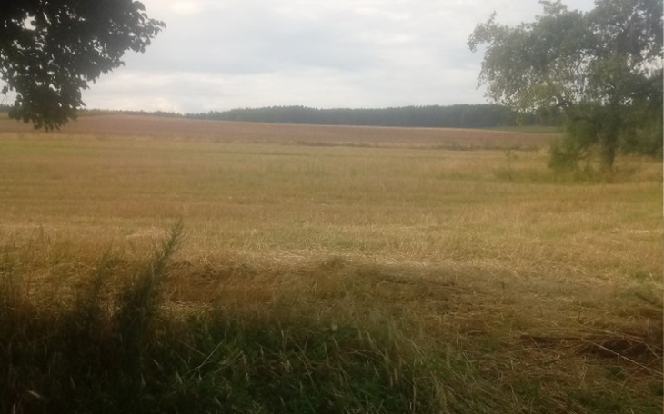 Zbiórka Niespodzianka dla męża - zdjęcie główne