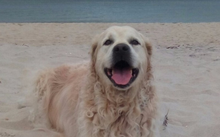 Zbiórka Jerruś - walka o zdrowie - zdjęcie główne