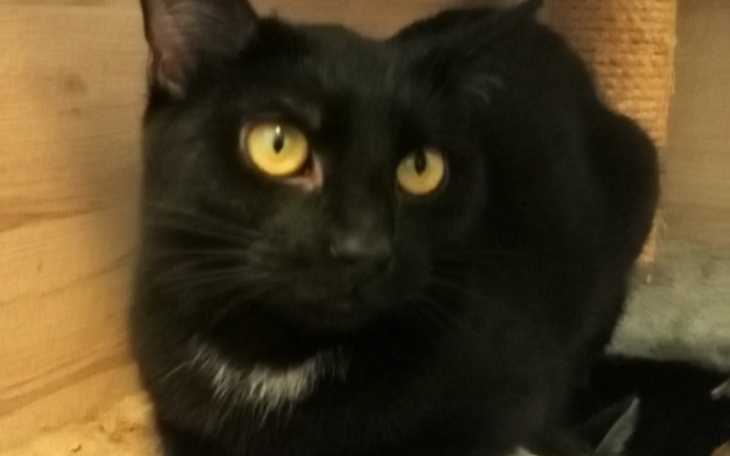 Zbiórka Uratowana MEGI z WYROKIEM - zdjęcie główne