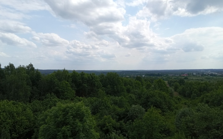 Zbiórka Urodziny mojej mamy - zdjęcie główne