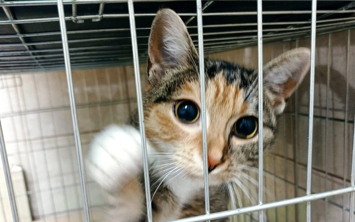 Zbiórka Czy to musi być wyrok... - zdjęcie główne