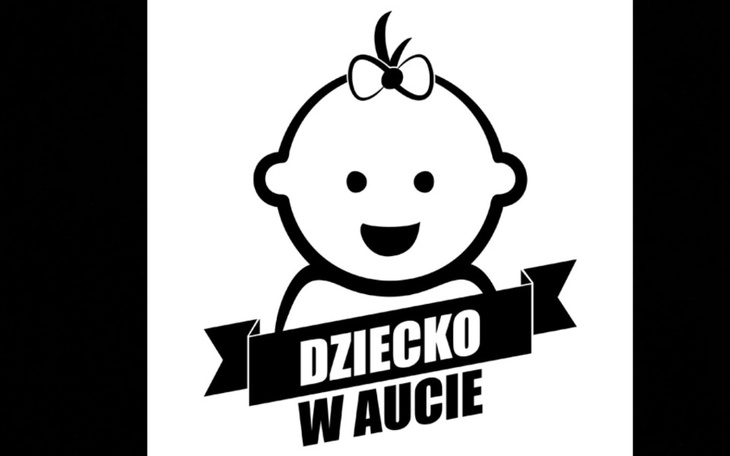 Zbiórka Potrzebuję pilnie na samochód - zdjęcie główne