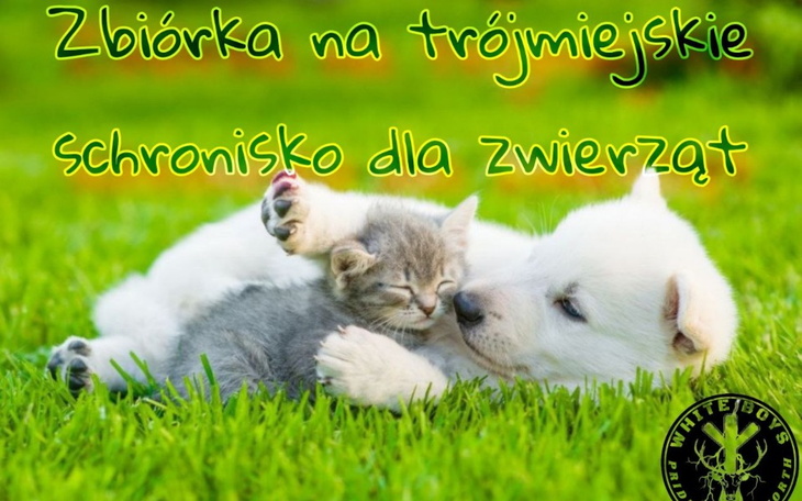 Zbiórka Zbiórka na schronisko zwierząt. - zdjęcie główne