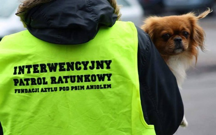 Osoba z psem w kamizelce interwencyjnej.