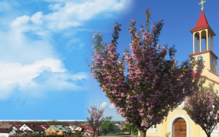 Zbiórka Żeby Szaroweczka mogła pomagać - zdjęcie główne