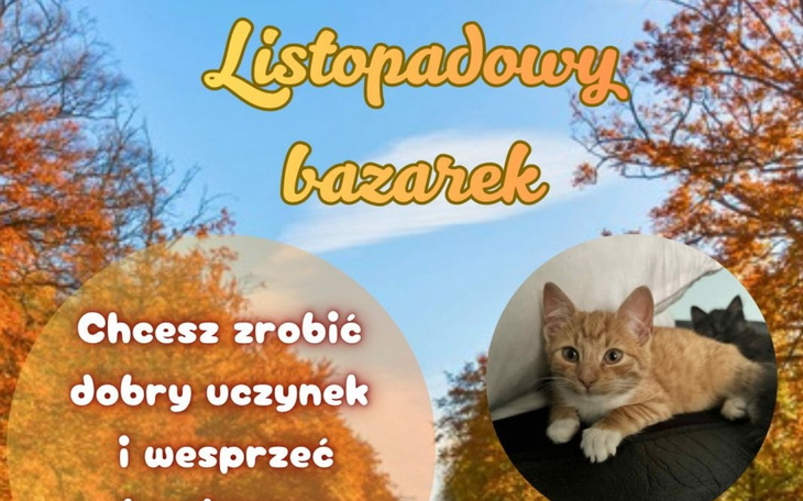 Kreatywna grafika z napisem 'Dzień dobry'.