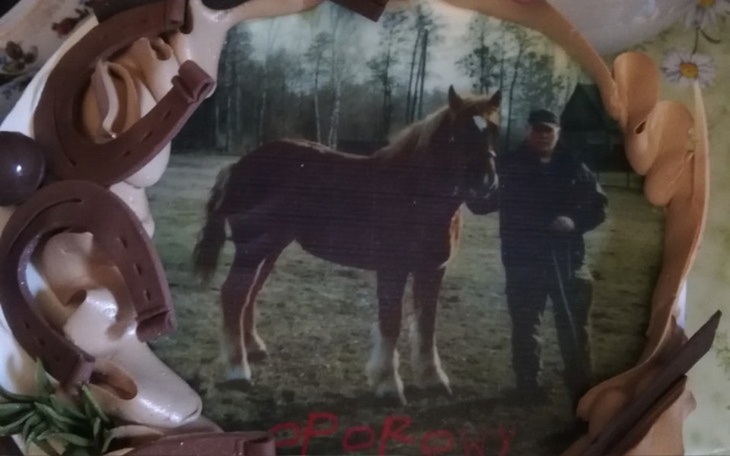 Zbiórka Stajnia dla Kobyły - zdjęcie główne