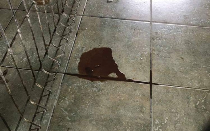 Zbiórka Epidemia parwowirozy - zdjęcie główne