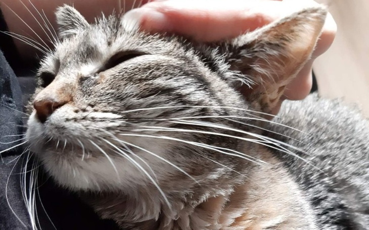 Zbiórka Zbieramy na lek ratujący życie - zdjęcie główne