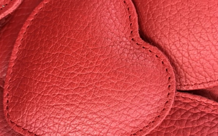 Zbiórka Pomagam Agnieszce - zdjęcie główne