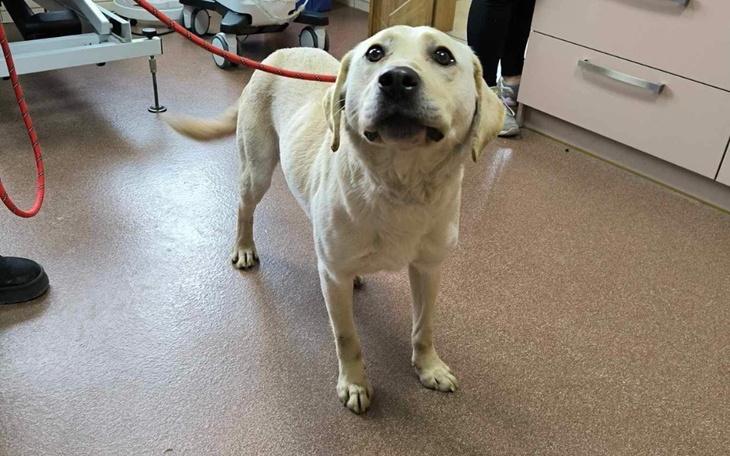 Zbiórka Nagroda za wskazanie sprawcy. - zdjęcie główne