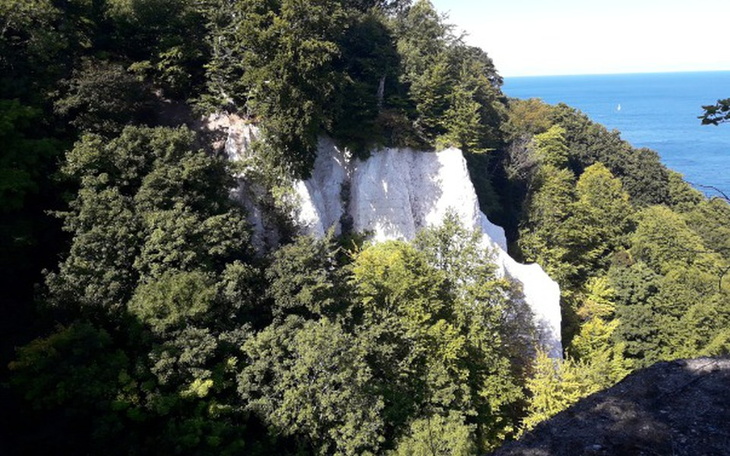 Zbiórka na zapłatę zadłużenia - zdjęcie główne