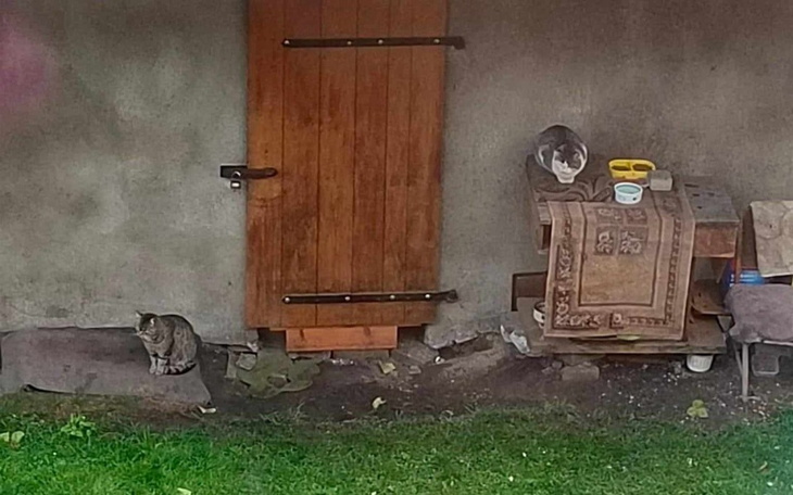 Zbiórka Kolega Felusia prosi o pomoc - zdjęcie główne