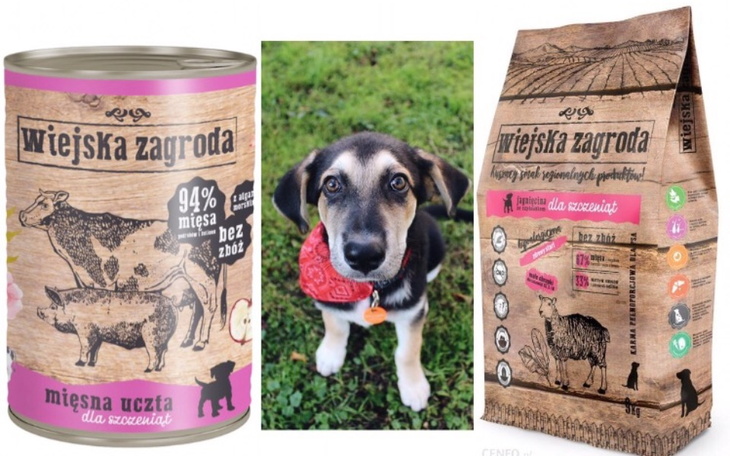 Zbiórka Na karme dla Alexa z alergią - zdjęcie główne