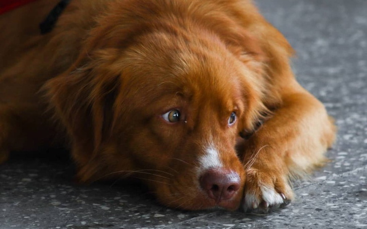 Zbiórka Na rozwój pasji fotografia - zdjęcie główne