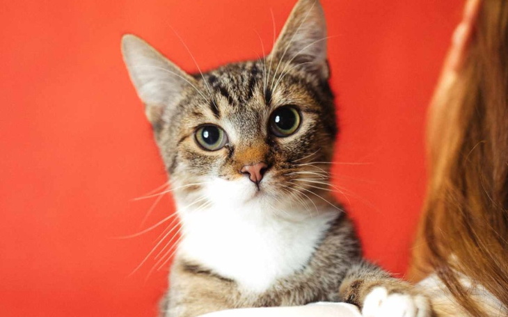 Zbiórka Spojrzałem śmierci w oczy... - zdjęcie główne