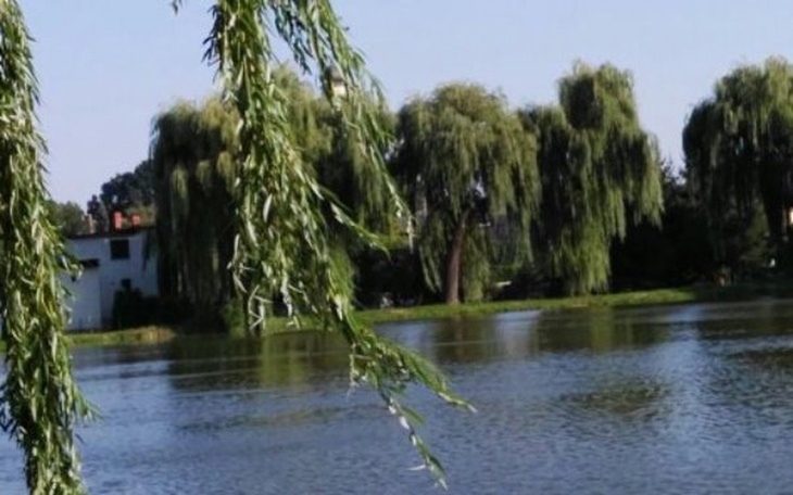 Zbiórka Schody - zdjęcie główne