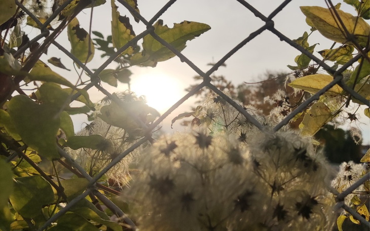 Zbiórka Na nowe życie po rozwodzie - zdjęcie główne