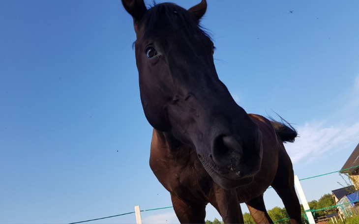 Zbiórka Leczenie Norberta - zdjęcie główne