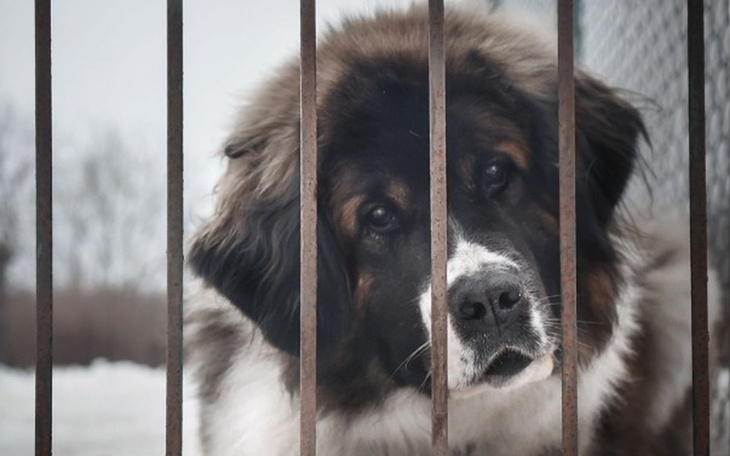 Zbiórka Korabkowe opowieści - zdjęcie główne