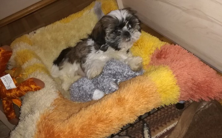 Zbiórka Wymarzony prezent przyjaciółki - zdjęcie główne