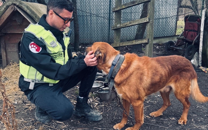 Mężczyzna w kamizelce rozmawia z psem w schronisku.