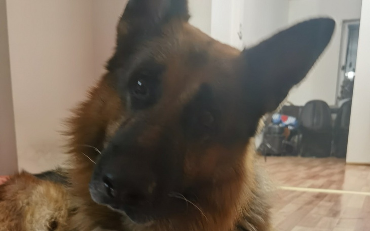 Zbiórka Na leczenie mojego przyjaciela - zdjęcie główne